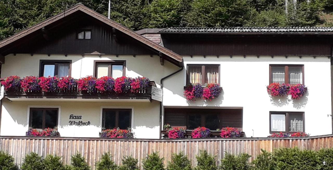 My Appartement - Haus Waldeck Schladming Exteriör bild