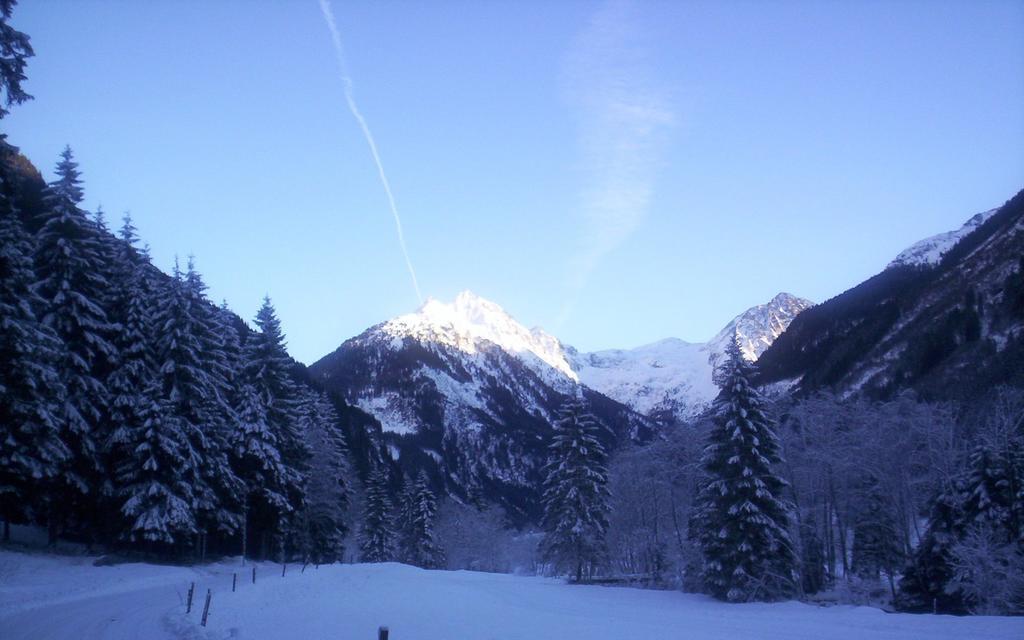 My Appartement - Haus Waldeck Schladming Exteriör bild